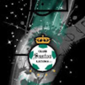 Meet your Posher, Alfredo